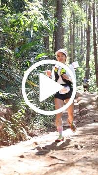 BIB:  <button type="button" onclick="openModal(26569303)" class="btn btn-primary btn-sm float-right" data-toggle="modal" data-target=".modal-high-quality">
                <i class="fa fa-download"></i> Download
                </button>